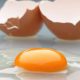 5 Cara Melihat Kualitas Telur