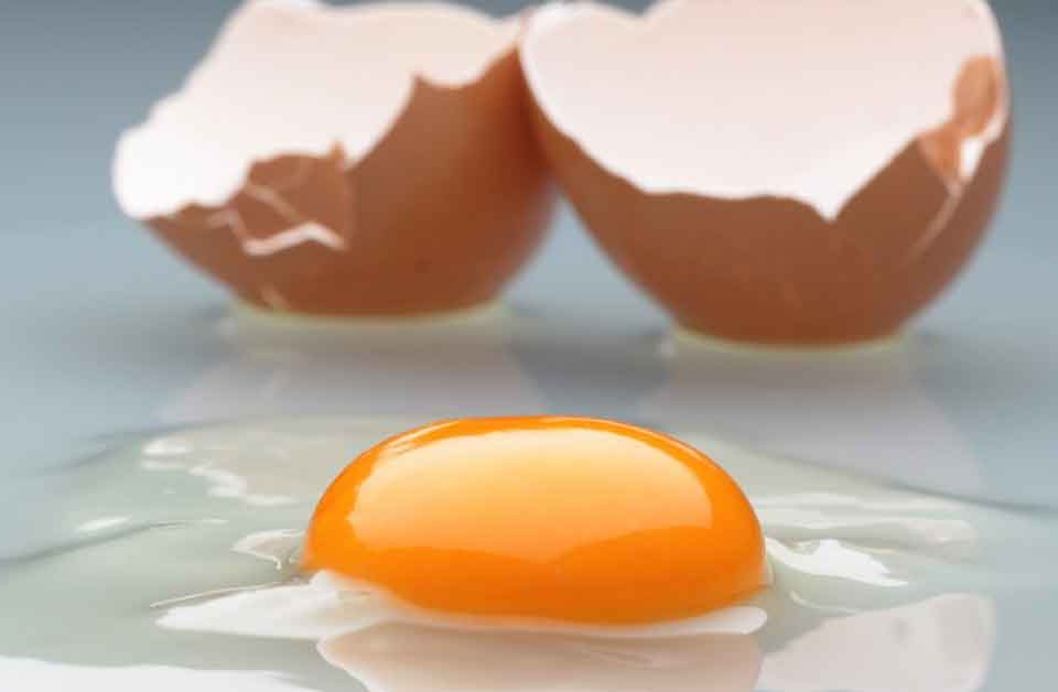5 Cara Melihat Kualitas Telur