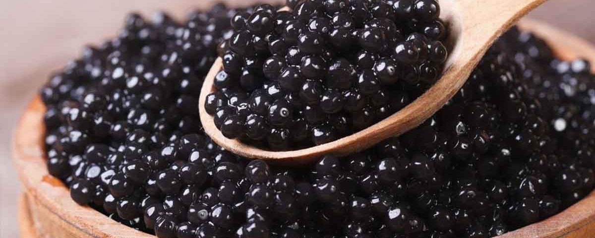Fakta Caviar Yang Tidak Anda Ketahui