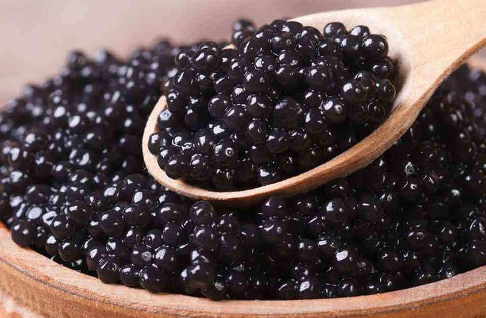 Fakta Caviar Yang Tidak Anda Ketahui