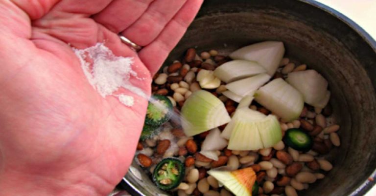 5 Tips Memasak Sayuran Agar Tidak Cepat Berubah Warna HOCK